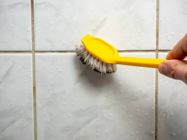 Best Black Mold Removal  in Mill Bay, AK