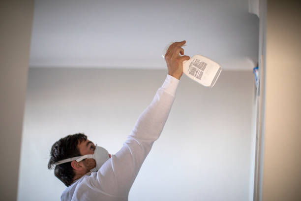 Best Toxic Mold Removal  in Mill Bay, AK