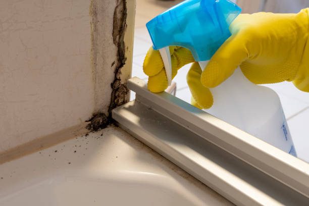 Best Residential Mold Removal  in Mill Bay, AK