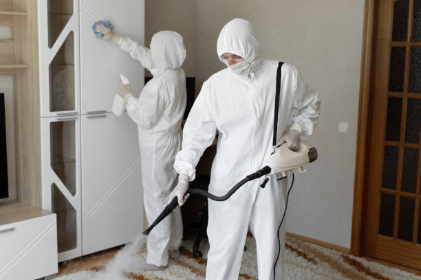 Best Professional Mold Removal  in Mill Bay, AK