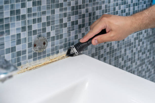 Best Same-Day Mold Removal  in Mill Bay, AK